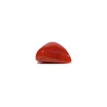 Red Coral - 9.15 Carat