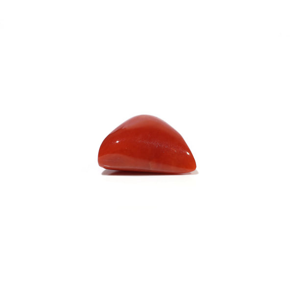 Red Coral - 9.15 Carat