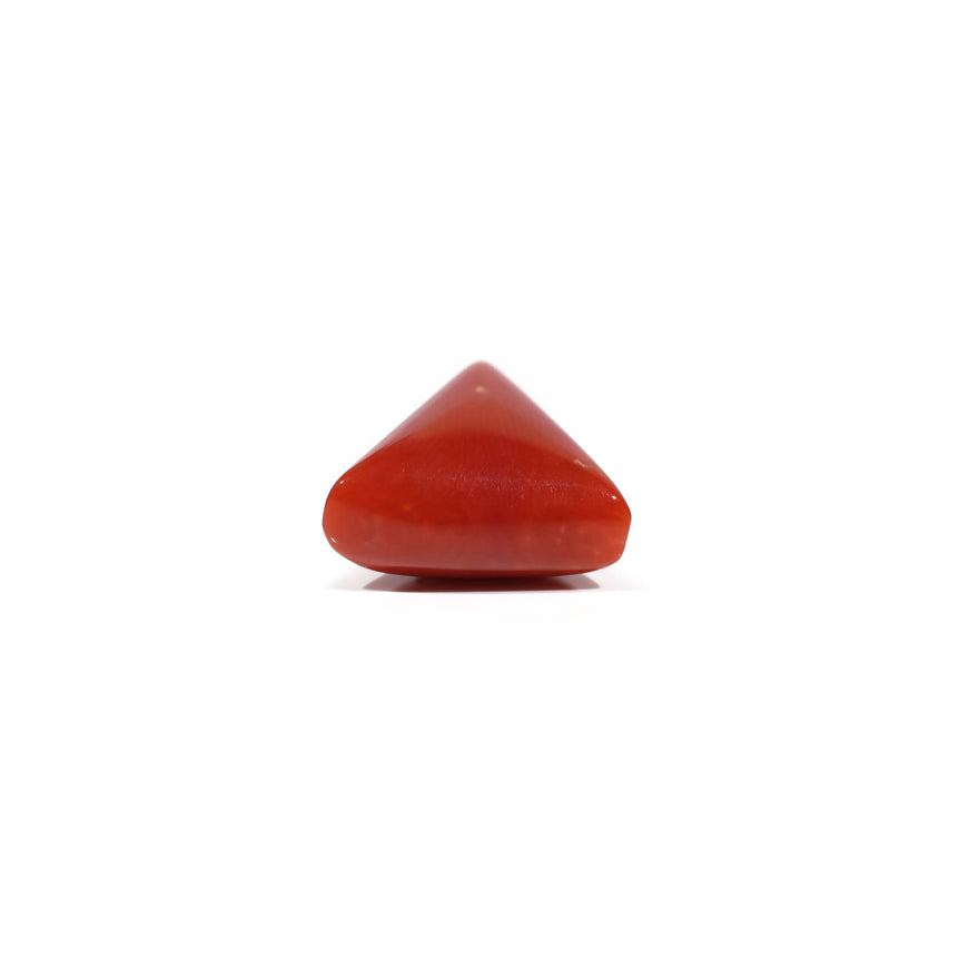 Red Coral - 8.7 Carat