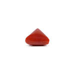 Red Coral - 8.7 Carat