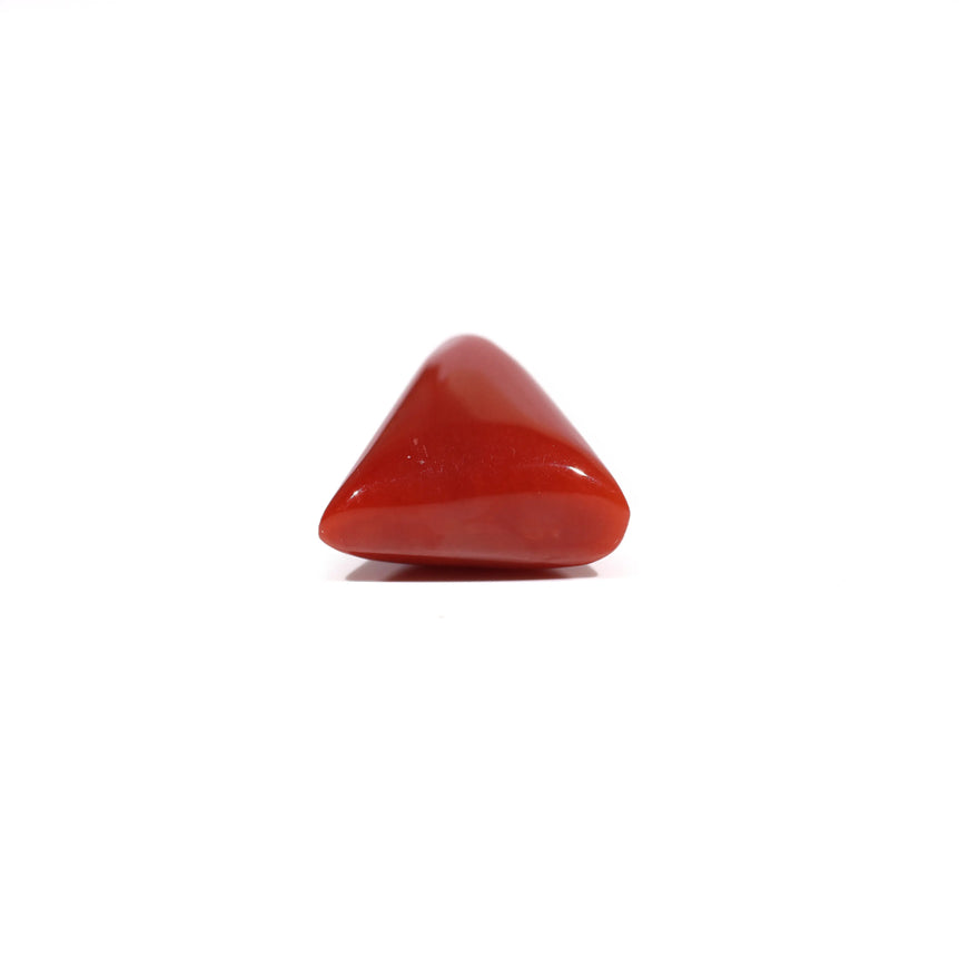 Red Coral - 9.95 Carat
