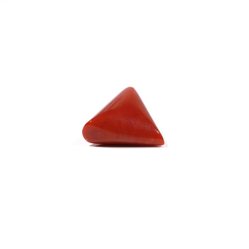 Red Coral - 9.9 Carat