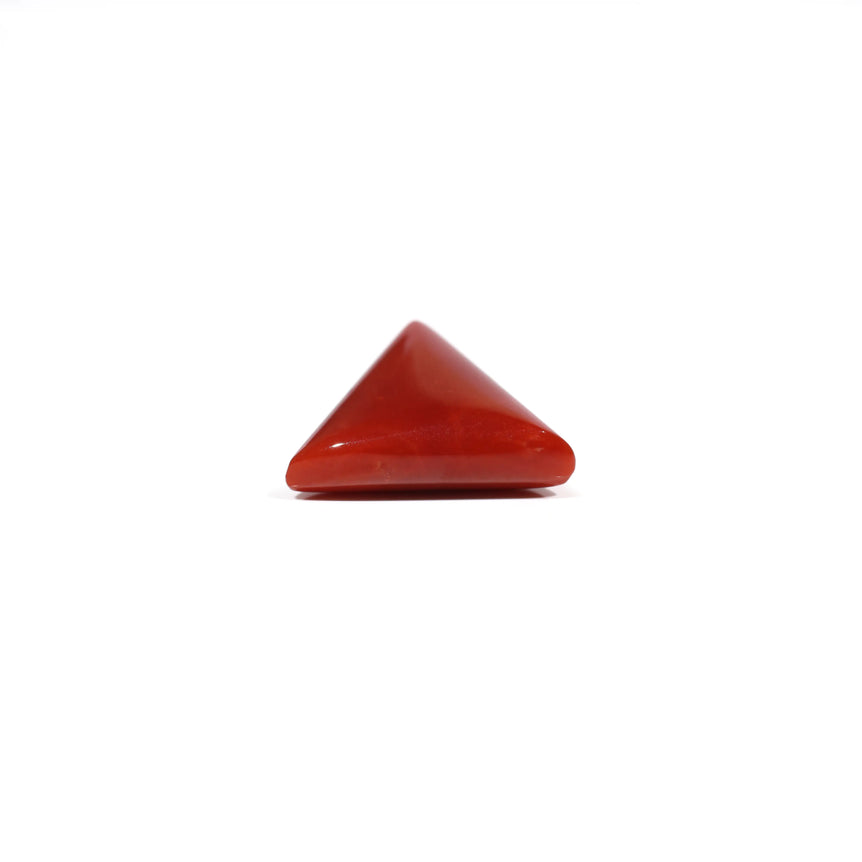 Red Coral - 9.05 Carat