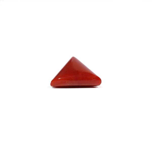 Red Coral - 9.05 Carat