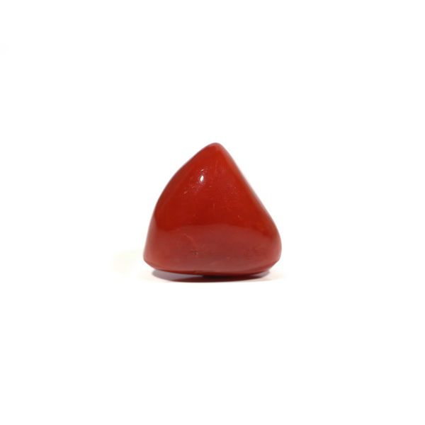  Red Coral - 16.75 Carat - Pramogh
