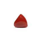 Red Coral - 16.75 Carat