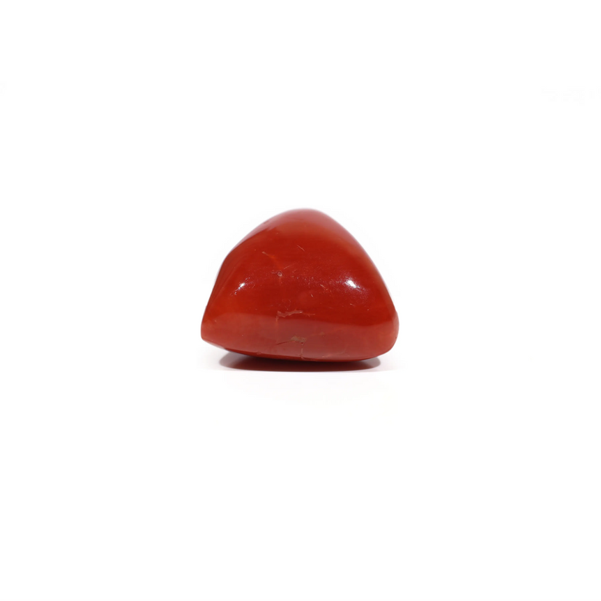 Red Coral - 16.75 Carat