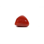 Red Coral - 16.75 Carat
