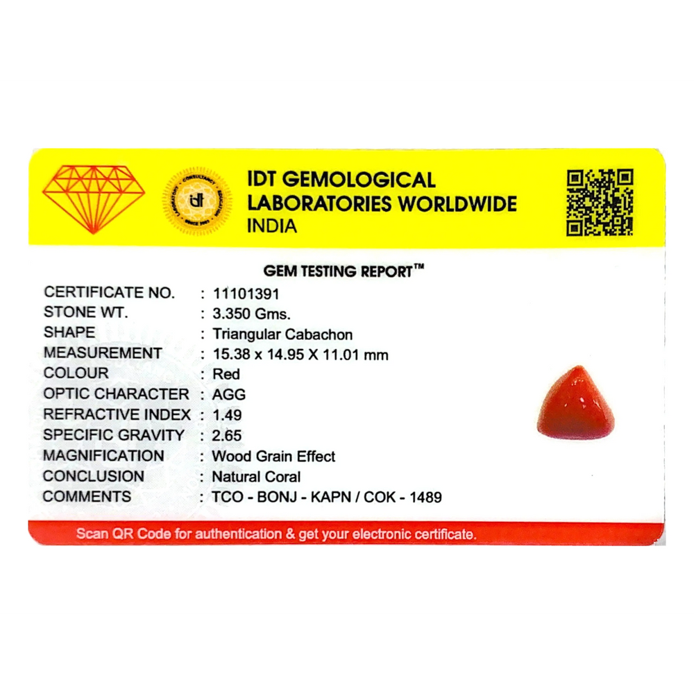 Red Coral - 16.75 Carat