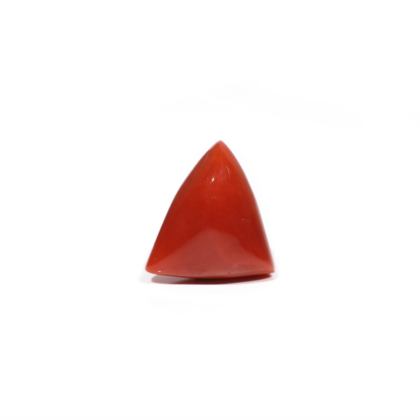  Red Coral - 17.3 Carat - Pramogh