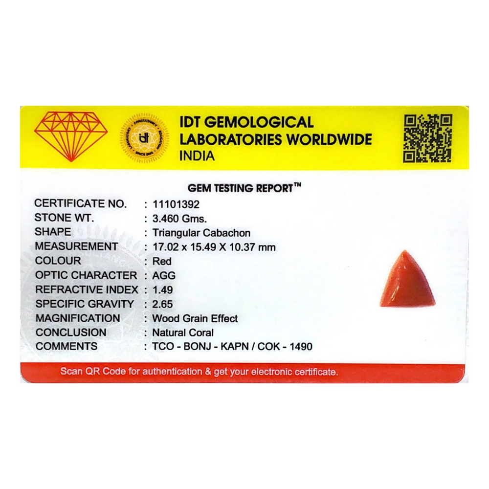 Red Coral - 17.3 Carat