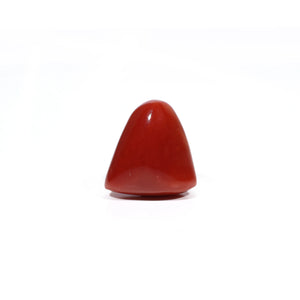  Red Coral - 18.15 Carat - Pramogh