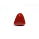  Red Coral - 18.15 Carat - Pramogh