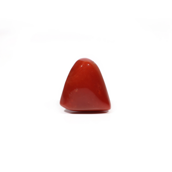 Red Coral - 18.15 Carat