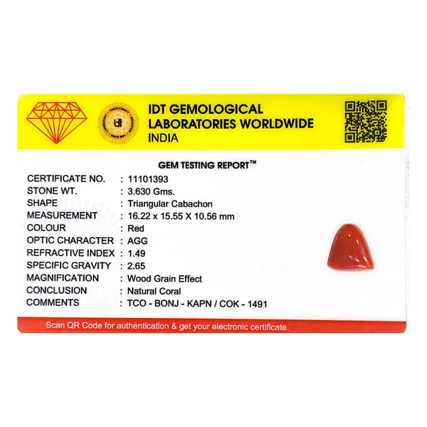 Red Coral - 18.15 Carat