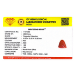 Red Coral - 18.15 Carat