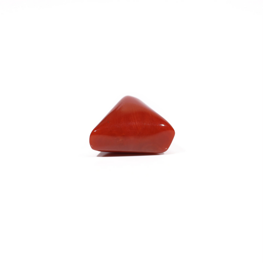 Red Coral - 6.15 Carat