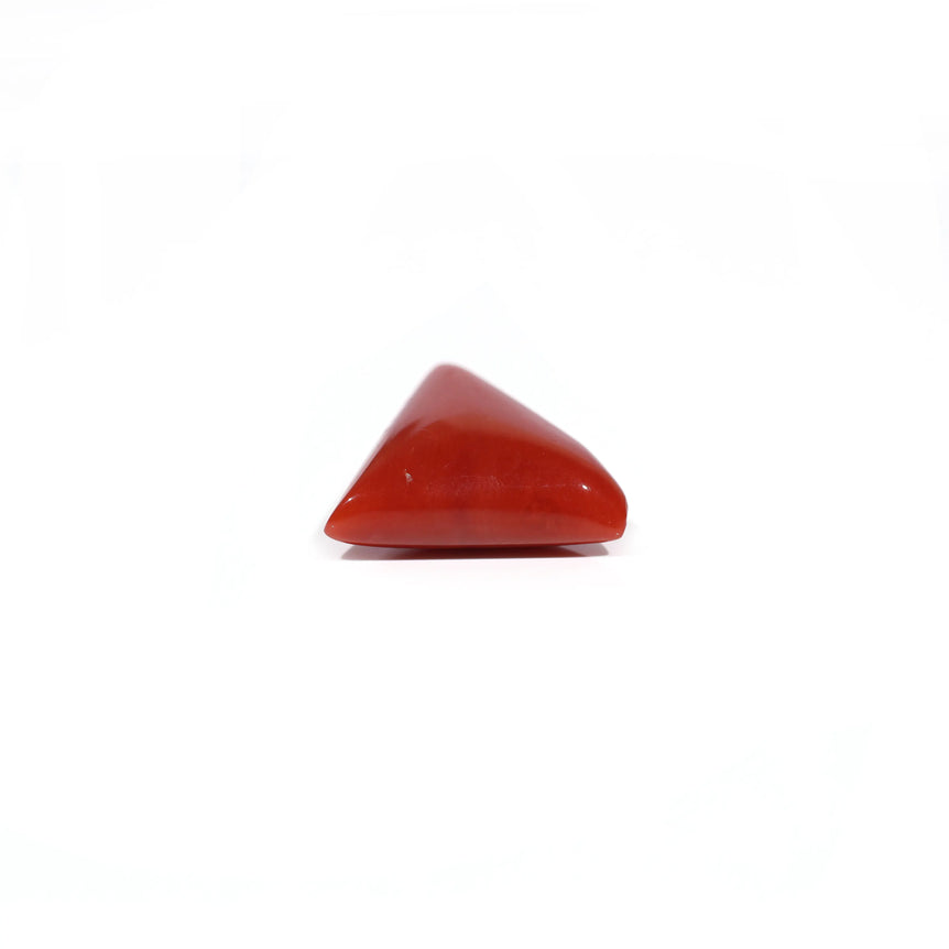 Red Coral - 8.2 Carat