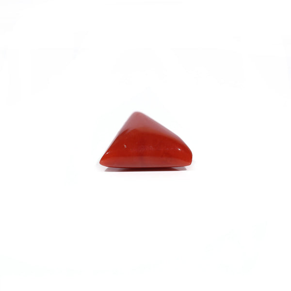 Red Coral - 8.2 Carat