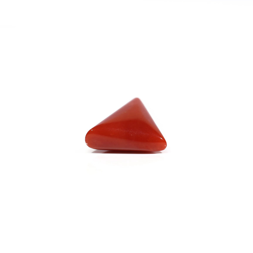 Red Coral - 6.15 Carat