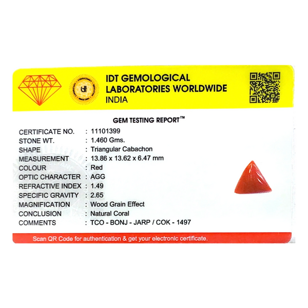 Red Coral - 7.3 Carat