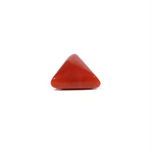 Red Coral - 7.35 Carat