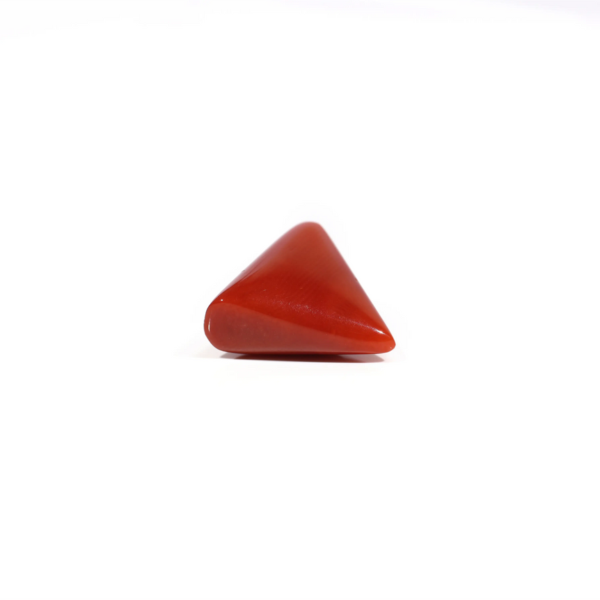 Red Coral - 8.1 Carat