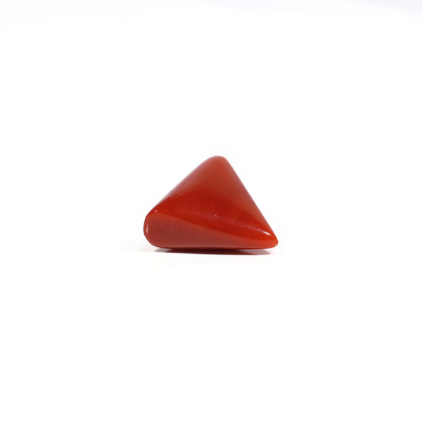Red Coral - 8.1 Carat