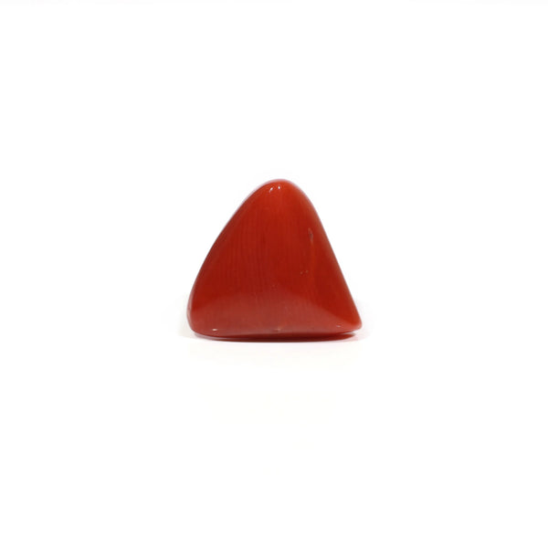  Red Coral - 6.6 Carat - Pramogh