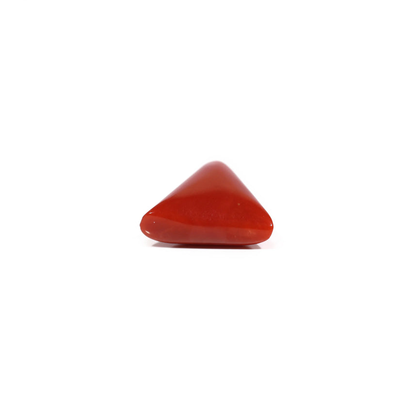 Red Coral - 6.45 Carat