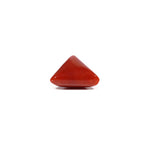 Red Coral - 6.95 Carat