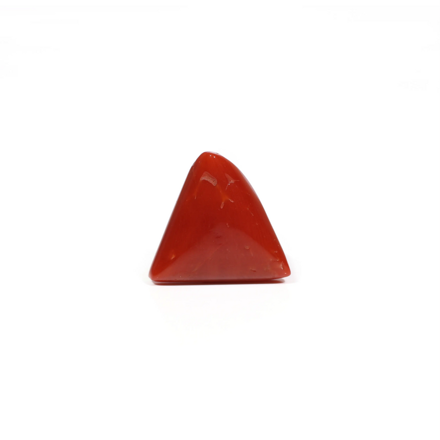 Red Coral - 8.1 Carat