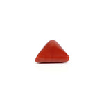 Red Coral - 8.1 Carat