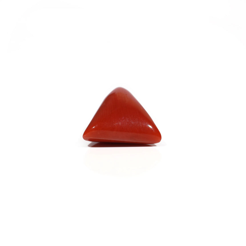 Red Coral - 6.15 Carat
