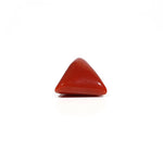 Red Coral - 6.15 Carat