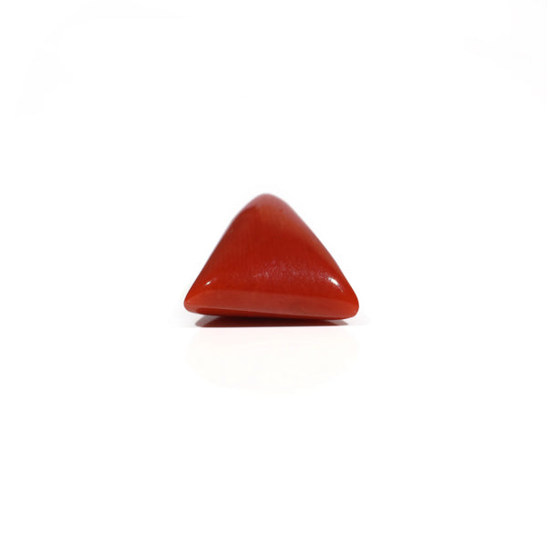 Red Coral - 6.15 Carat