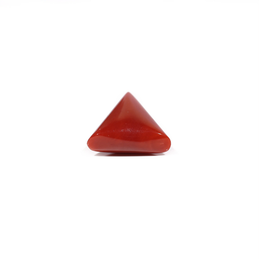 Red Coral - 7.2 Carat