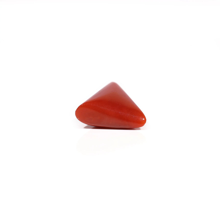 Red Coral - 6.5 Carat