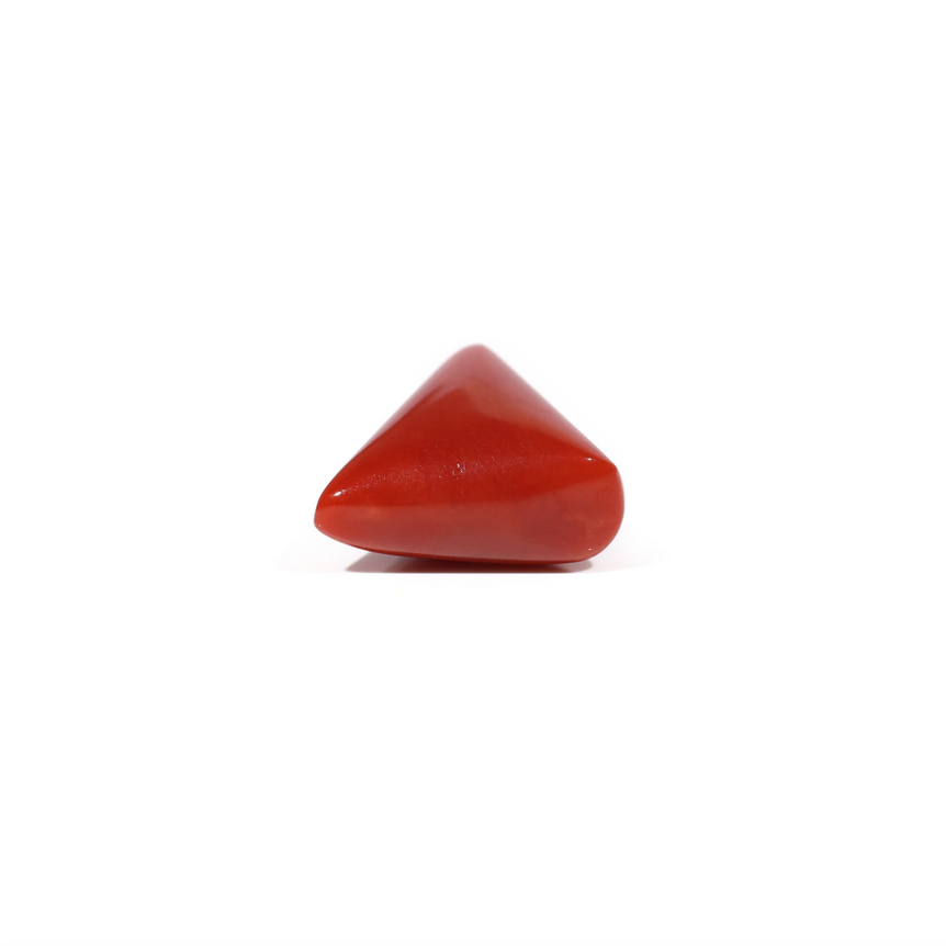 Red Coral - 5.65 Carat