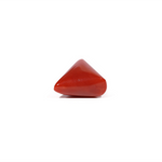 Red Coral - 5.65 Carat