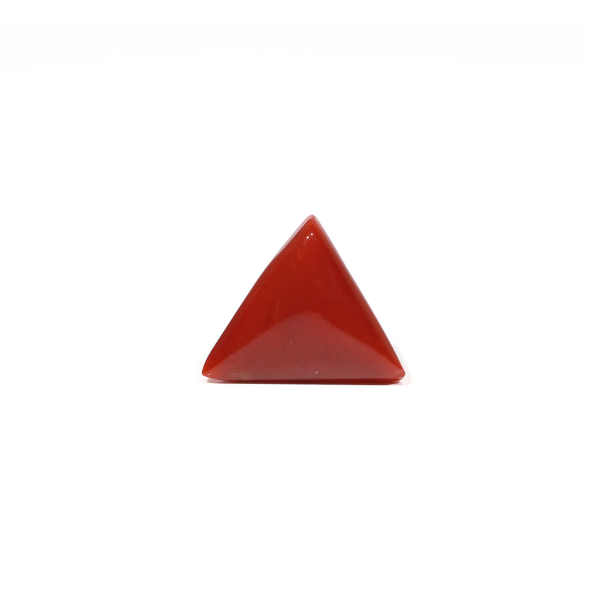  Red Coral - 7.2 Carat - Pramogh