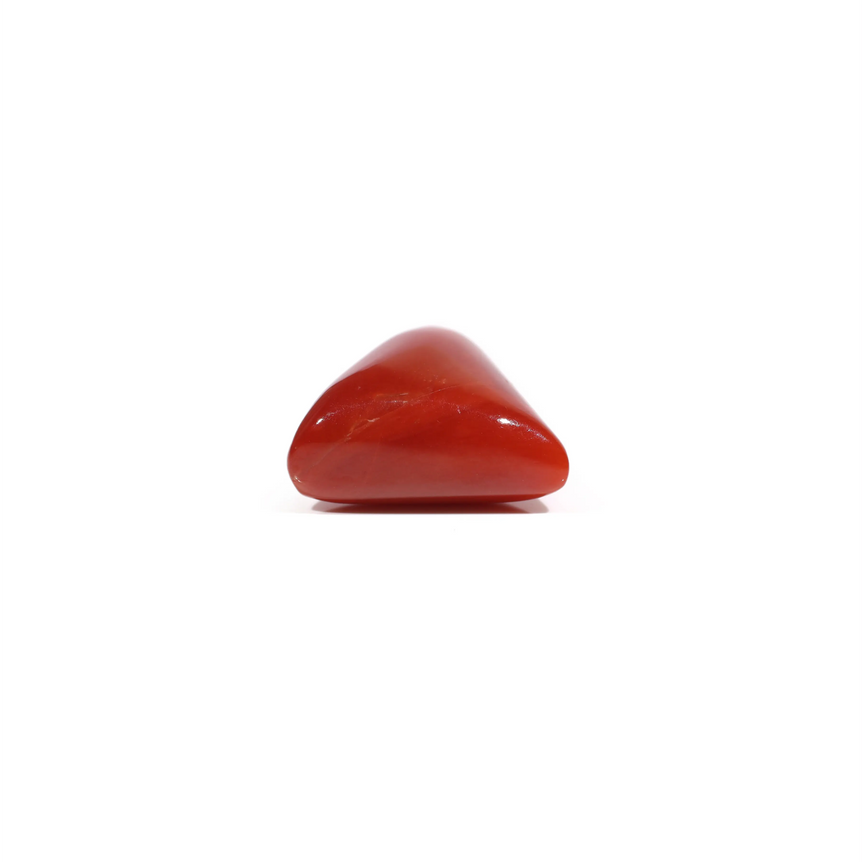 Red Coral - 6.8 Carat