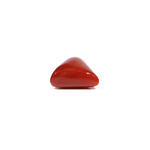 Red Coral - 6.8 Carat