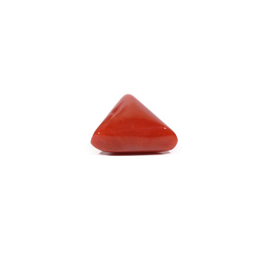 Red Coral - 7.05 Carat