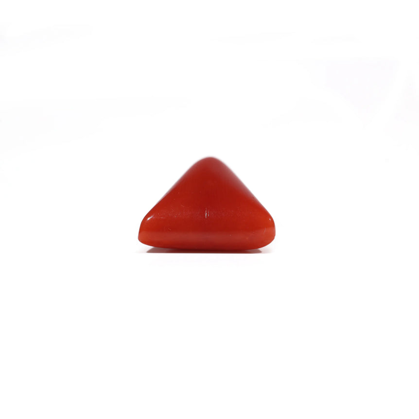 Red Coral - 7.8 Carat