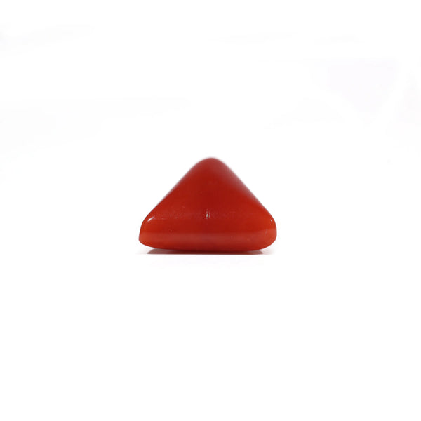 Red Coral - 7.8 Carat