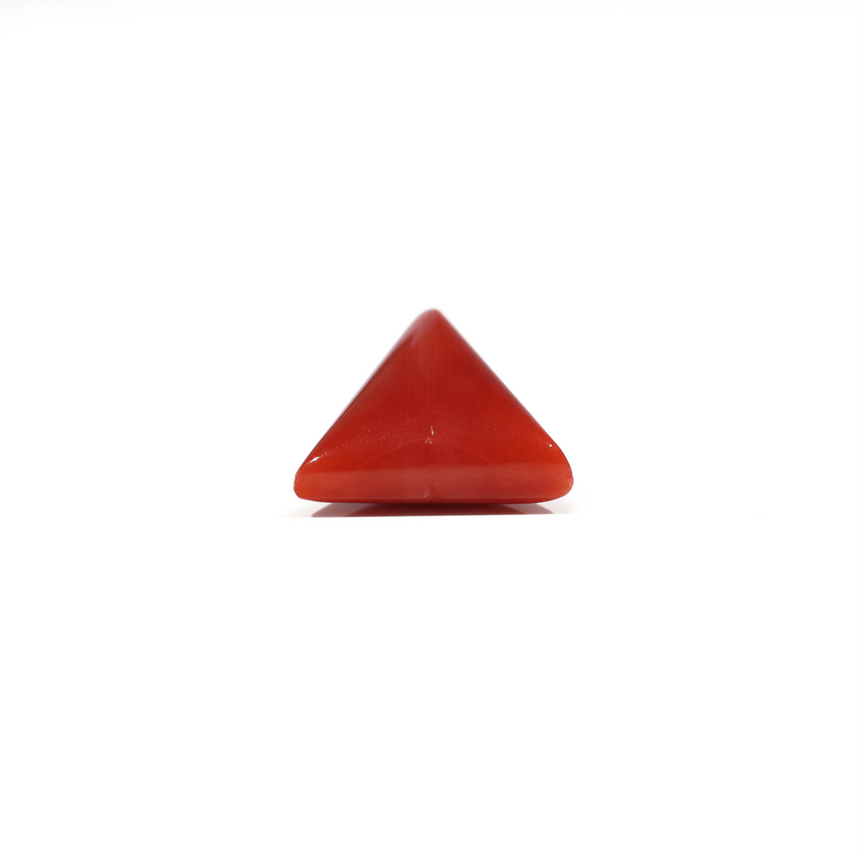 Red Coral - 7.2 Carat