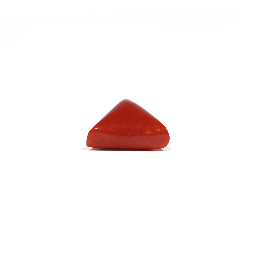Red Coral - 6.5 Carat