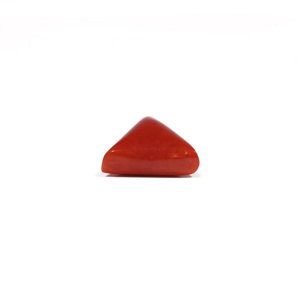 Red Coral - 6.5 Carat