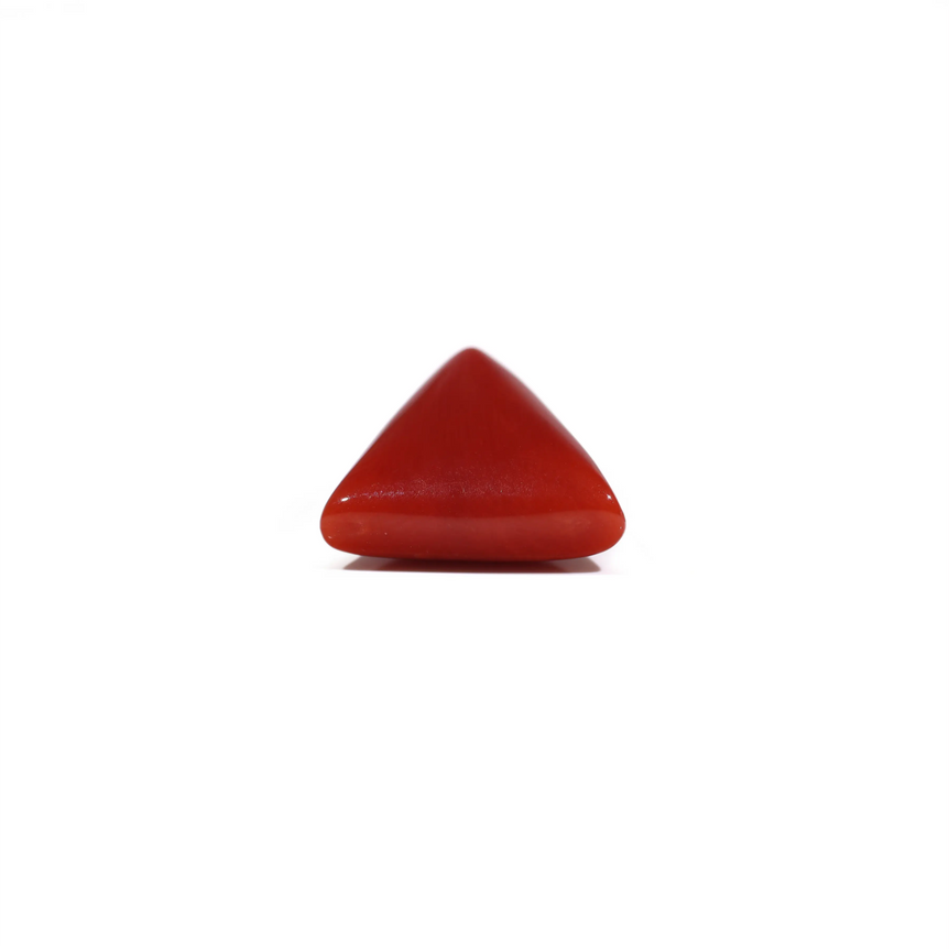 Red Coral - 7.2 Carat